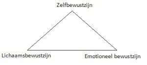 Psycho- fysieke driehoek : Lichaam bewustzijn – Emotioneel bewustzijn leid tot zelf bewustzijn.