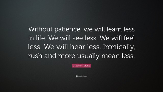 17134-Mother-Teresa-Quote-Without-patience-we-will-learn-less-in-life-We.jpg